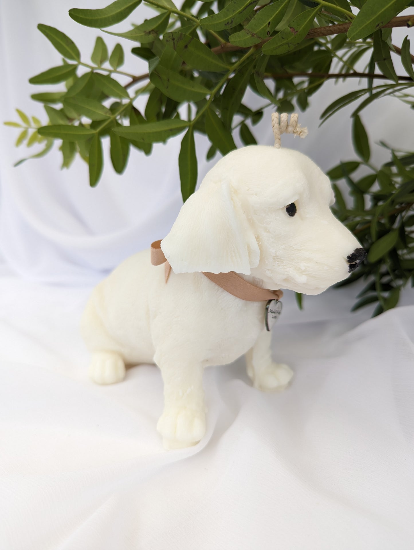 Dachshund Puppy Candle| Dog Candle | Dachshund Candle Gift