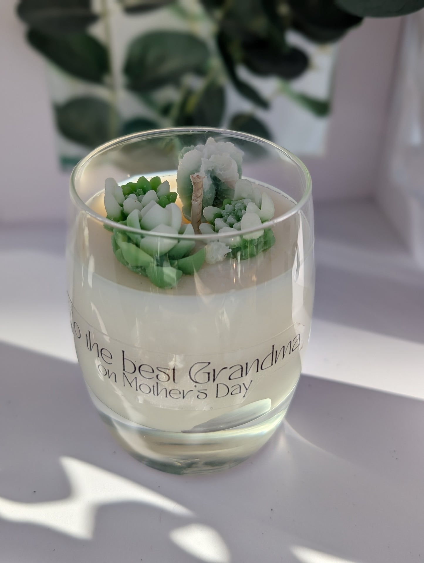 Best Grandma on Mother's Day Candle | Grandma Gift | Succulent Candle Gift