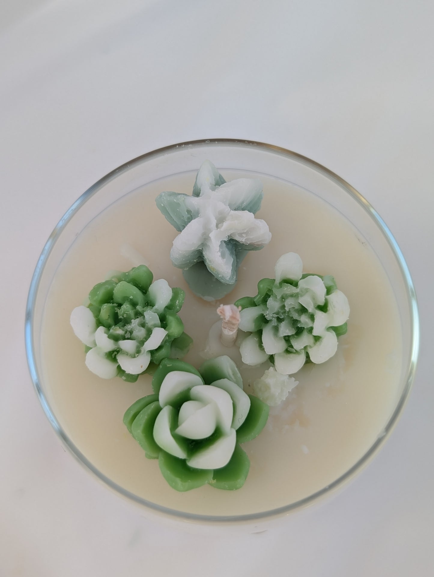 Best Grandma on Mother's Day Candle | Grandma Gift | Succulent Candle Gift