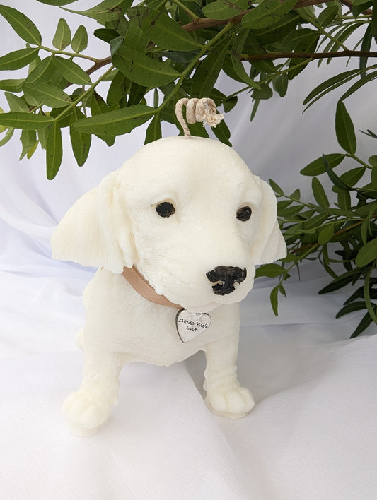 Dachshund Puppy Candle| Dog Candle | Dachshund Candle Gift