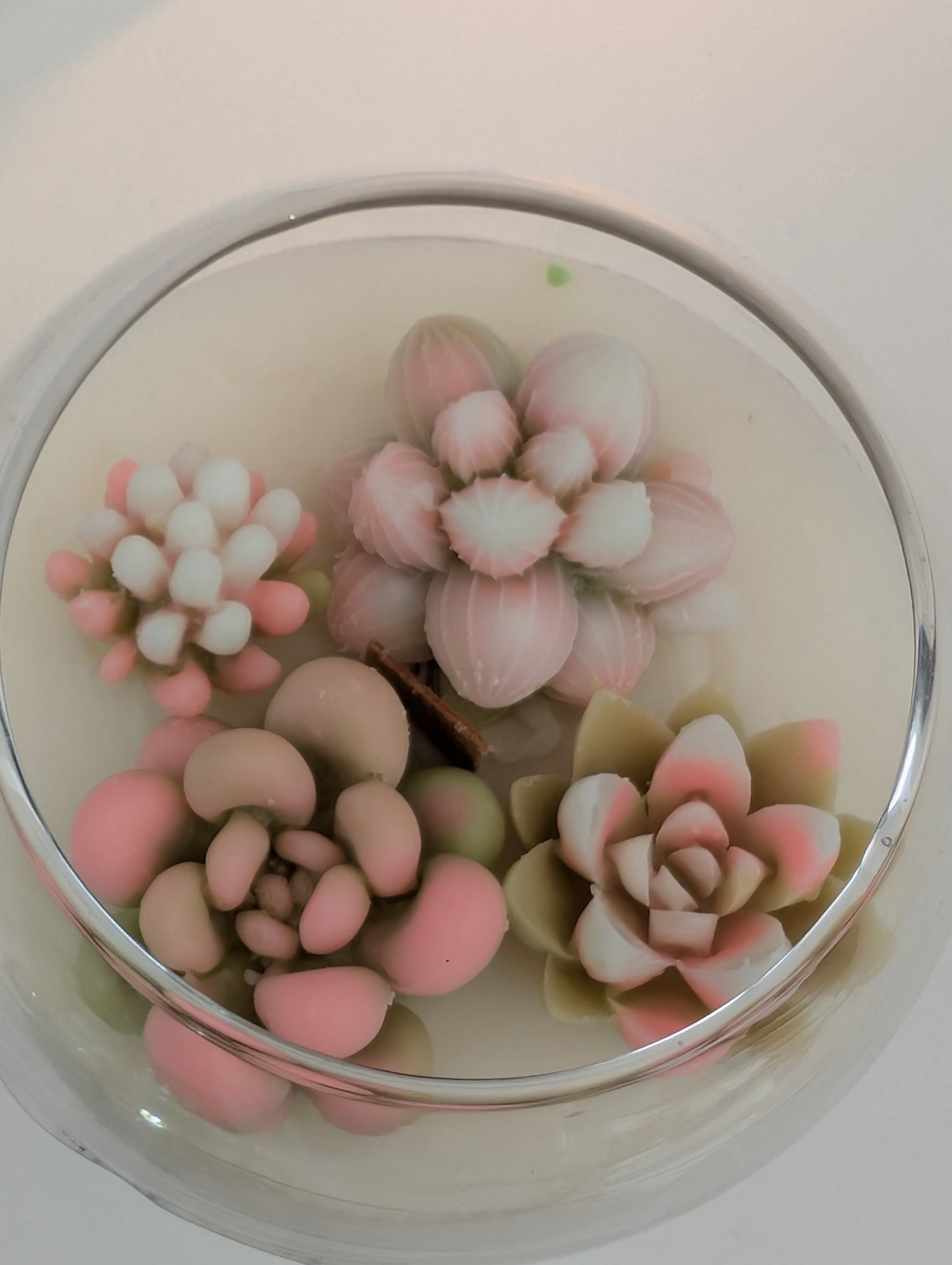 Best Mothers day gifts - top view of wax succulent detail on mothers day candle